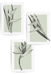 sage green botanical wall prints
