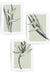 sage green botanical wall prints