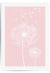 pink dandelion flower wall art print
