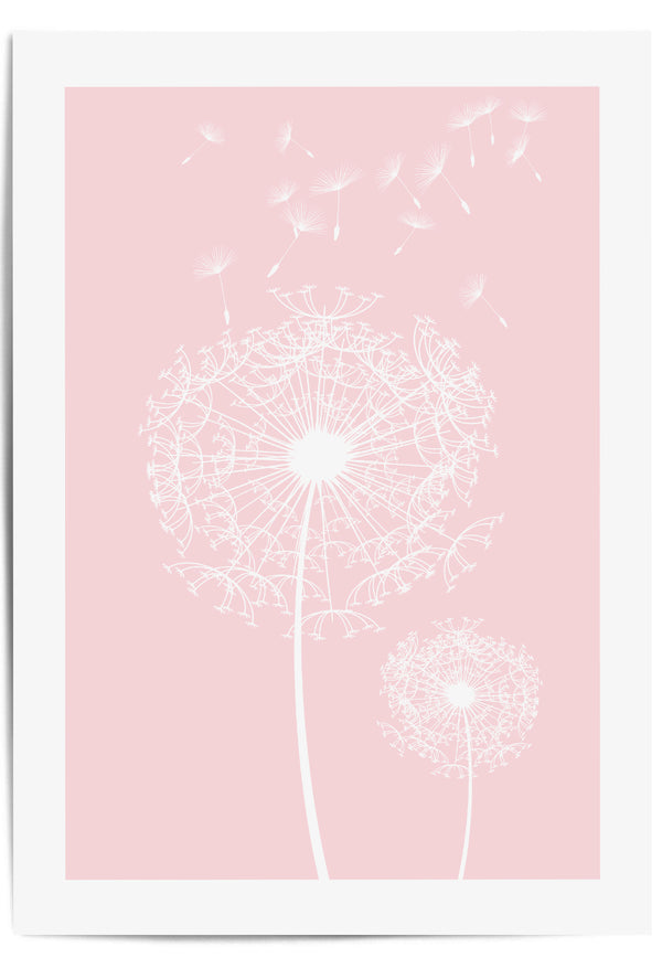 pink dandelion flower wall art print