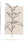 Minimalist line art of a plant on a beige background