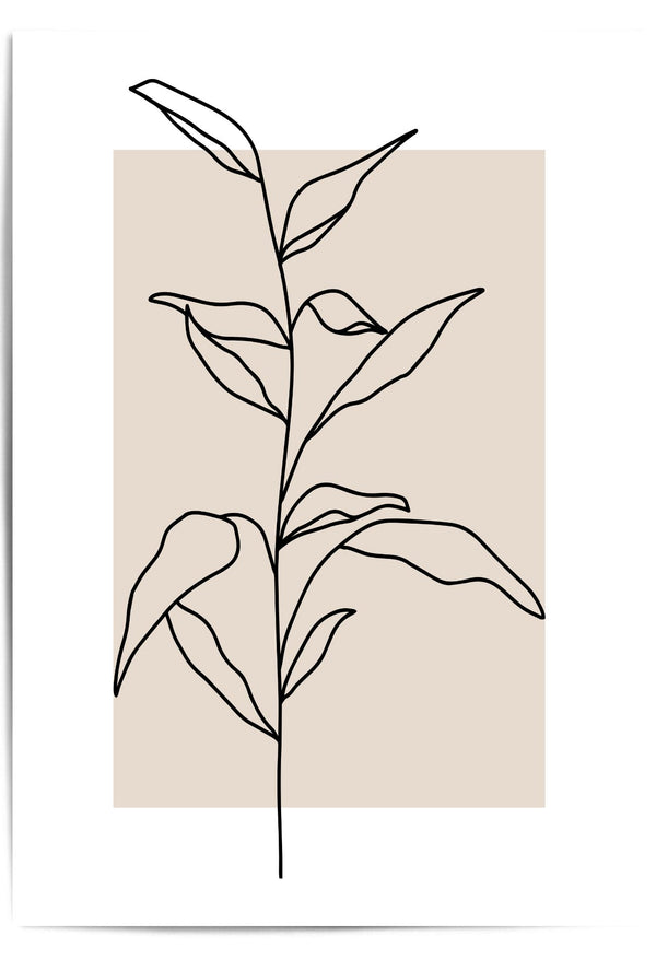 Minimalist line art of a plant on a beige background