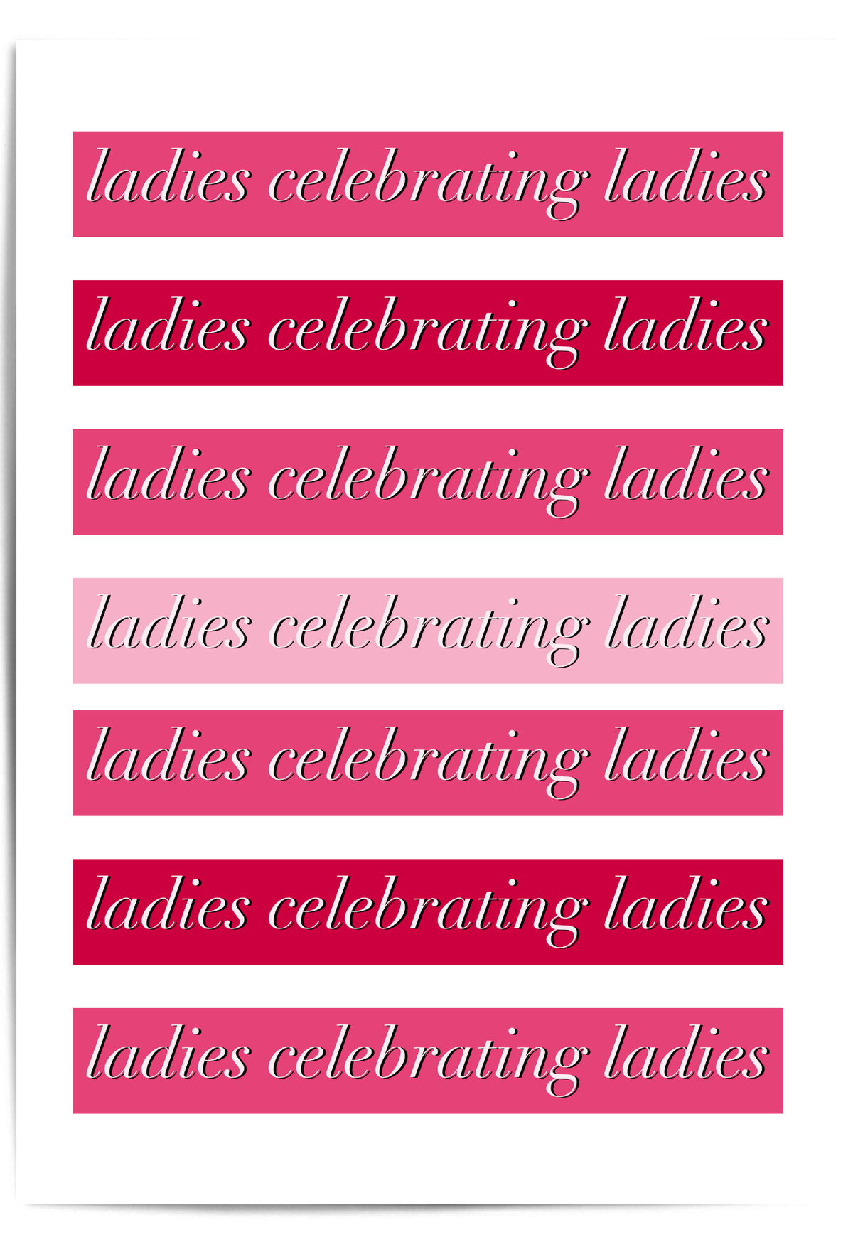 Ladies Celebrating Ladies Galentines Day wall art in pink with bold typography