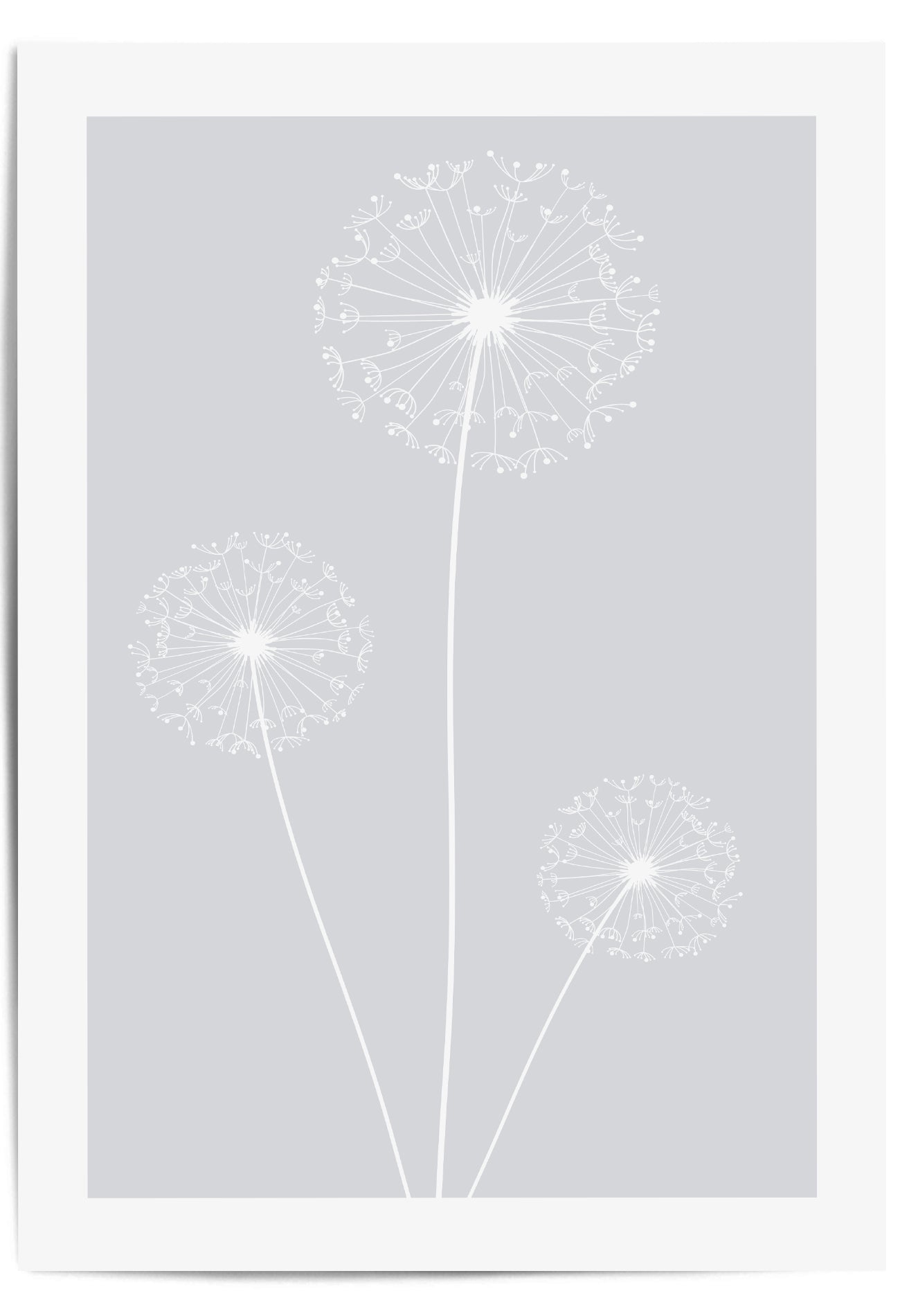 light grey dandelion print
