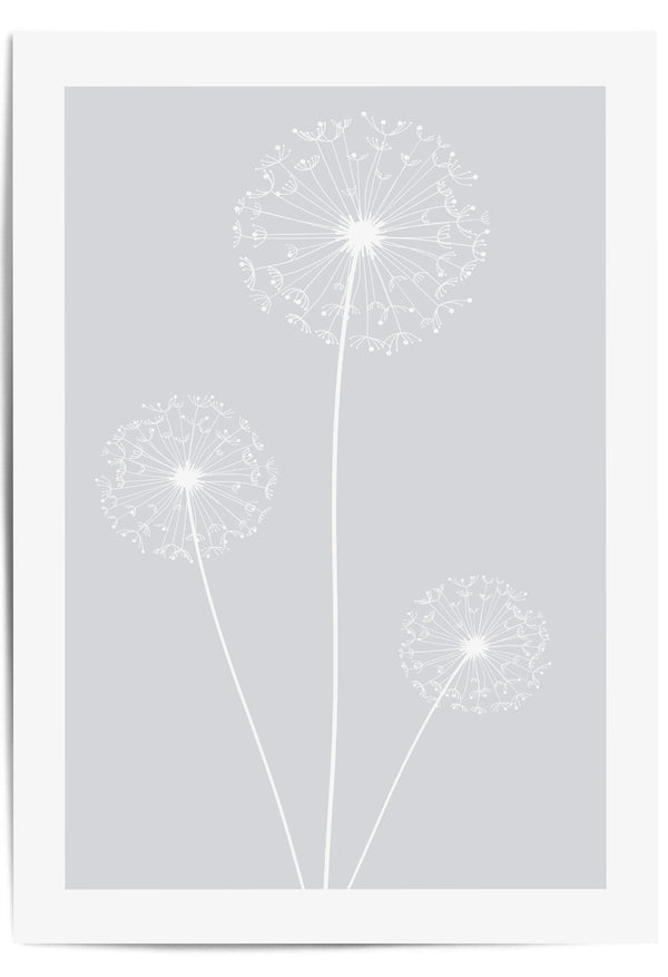 light grey dandelion print