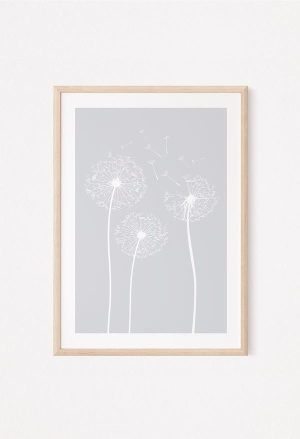 dandelion light grey poster with 3 dandelions