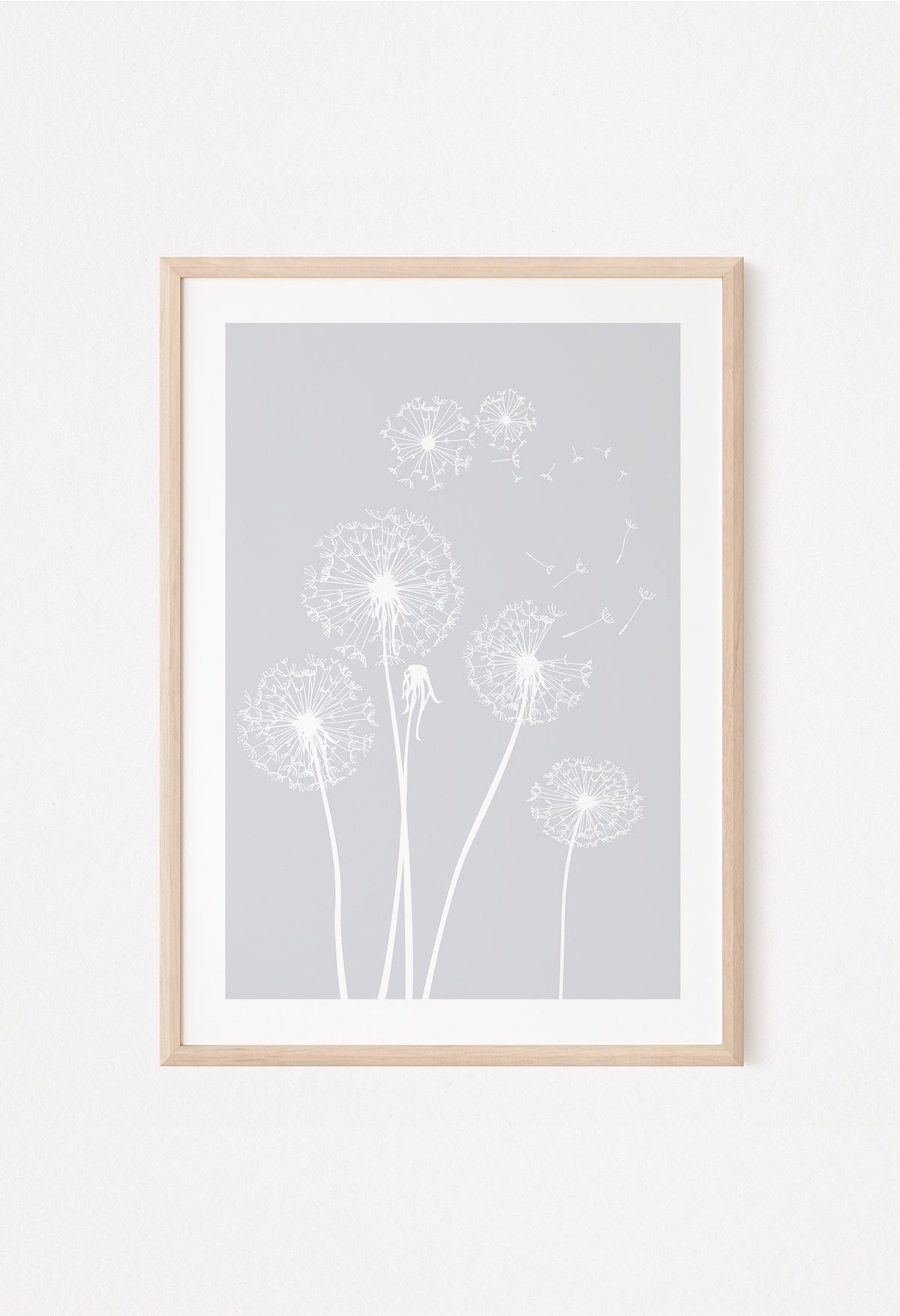 dandelion flowers in grey displayed in a frame