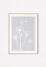 dandelion flowers in grey displayed in a frame