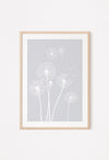 dandelion flowers in grey displayed in a frame