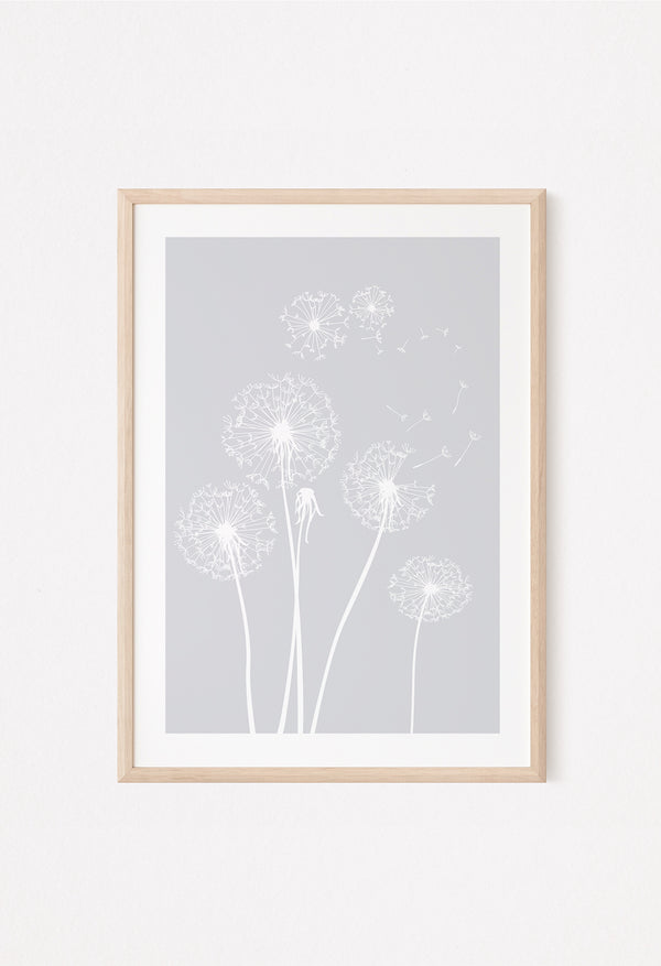 dandelion flowers in grey displayed in a frame