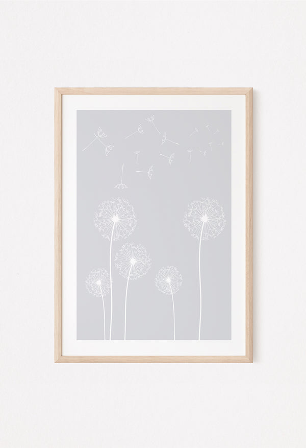 grey dandelion flowers poster decor