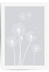 4 dandelion flowers with light grey background grey wall art