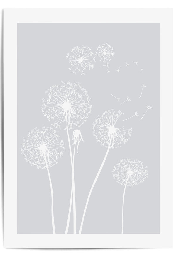 4 dandelion flowers with light grey background grey wall art