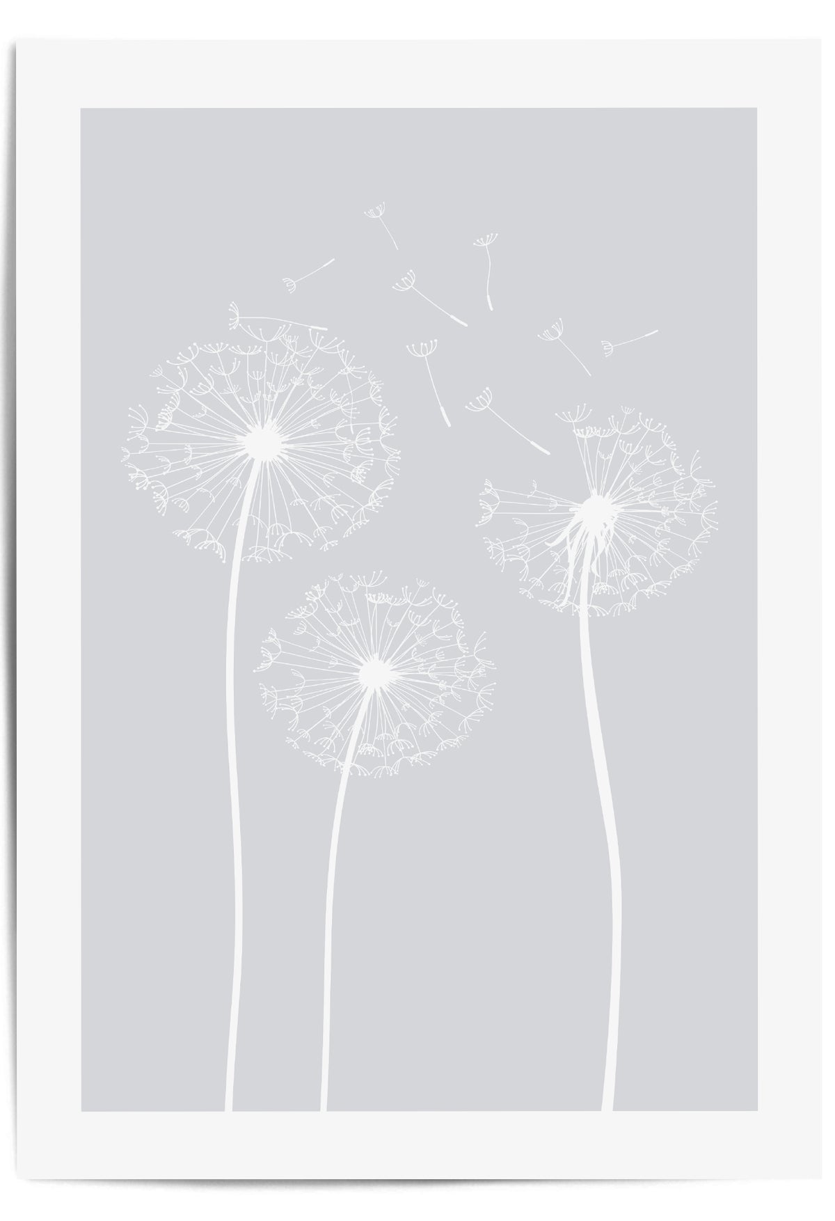 light grey 3 dandelions print