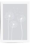 light grey 3 dandelions print