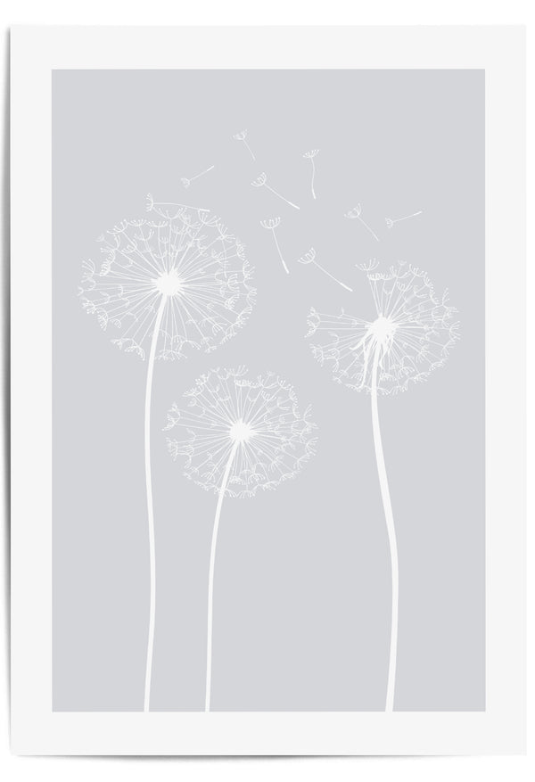 light grey 3 dandelions print