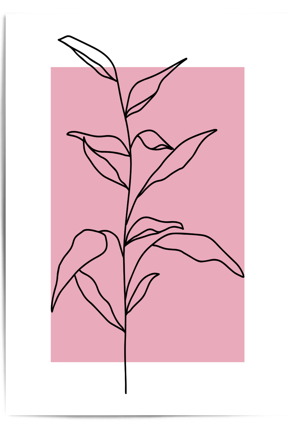 Dusty Pink Botanical Line Art Print