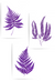 set of 3 purple fern art decor