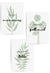 sage green dining room quotes