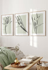set of 3 sage green bedroom wall decor