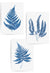 set of 3 blue fern wall decor
