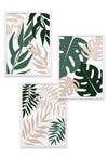 white framed green and beige leaf prints