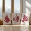 set of 3 burgundy fern wall art prints