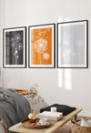 set of 3 light grey, dark grey and orange wall pictures with dandelions