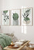 Set of 3 Sage Green Wall Art Prints