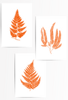 burnt orange fern wall art prints