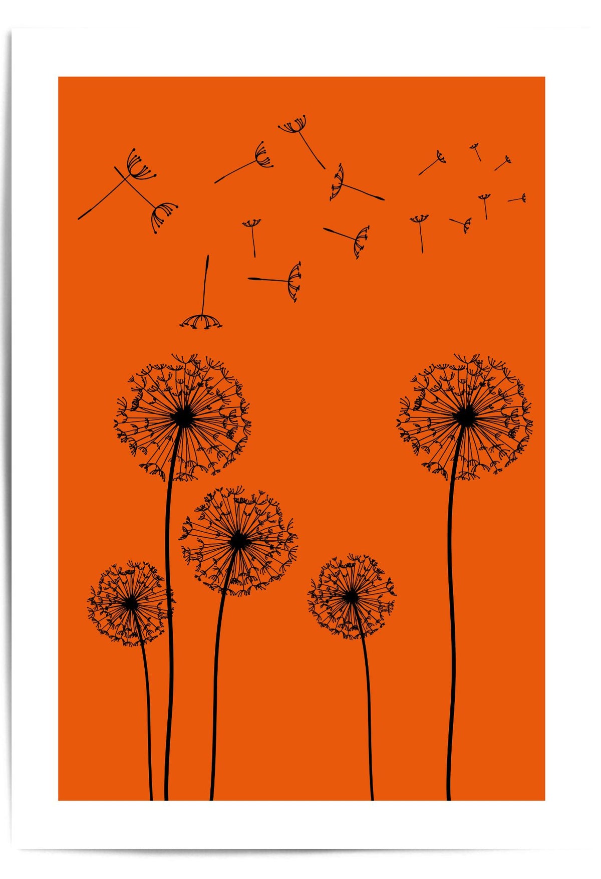 Black dandelion illustrations on an orange background