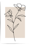 Minimalist line art of flowers on a beige background
