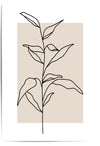 Minimalist line art of a plant on a beige background