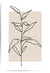Minimalist line art of a plant on a beige background