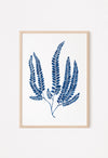 blue fern watercolour art