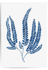 blue fern water colour prints