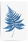 watercolour blue fern poster decor