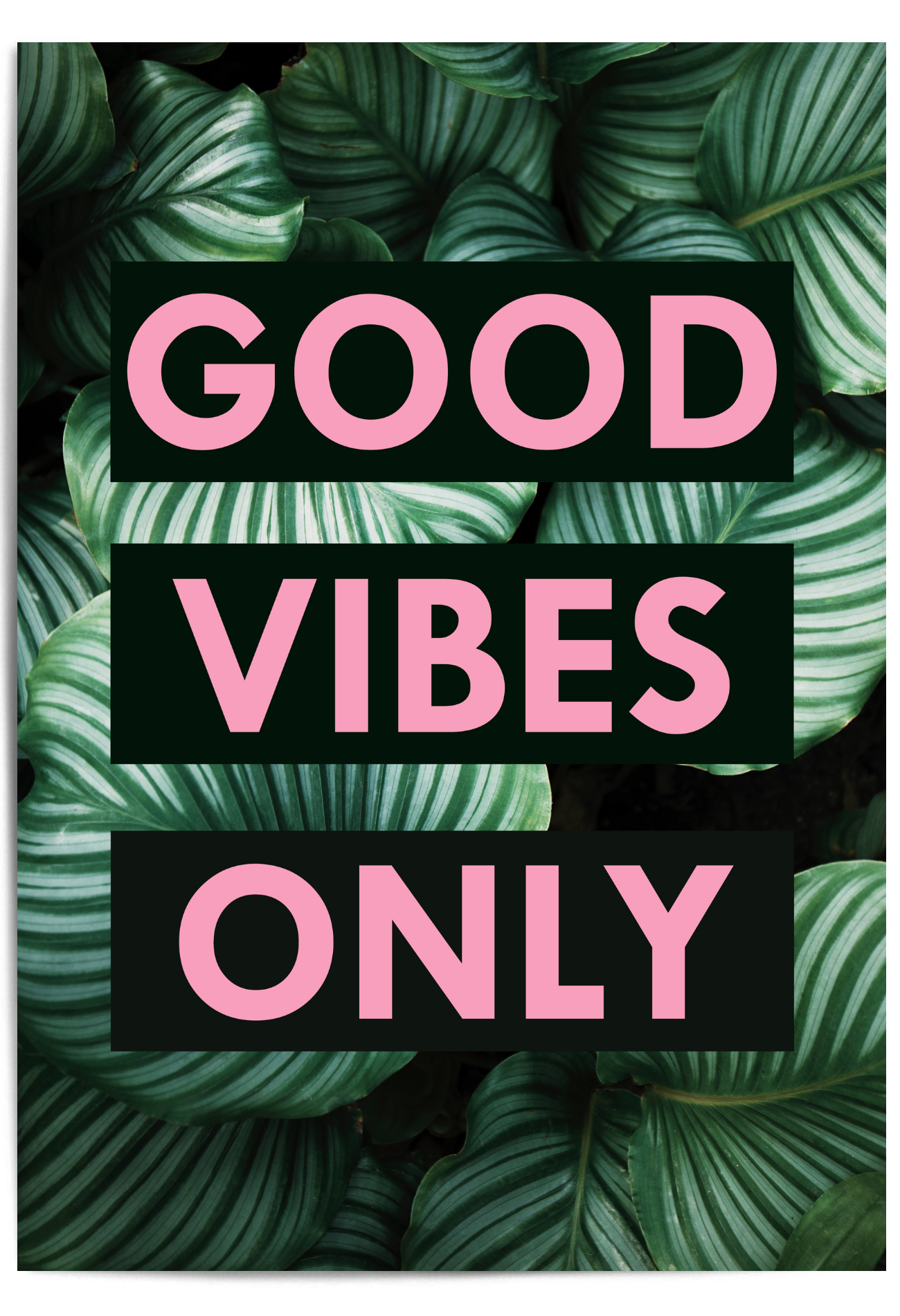 GOOD VIBES ONLY TROPICAL PINK POSYER