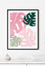 green and pink monstera plant