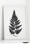 fern watercolour print in grey shade