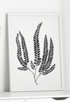 fern watercolour grey poster print