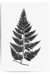 grey fern watercolour poster