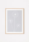 grey dandelion wall print