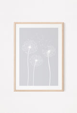 dandelion light grey poster with 3 dandelions