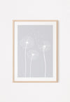 dandelion light grey poster with 3 dandelions