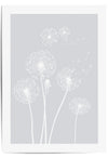 4 dandelion flowers with light grey background grey wall art
