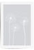 light grey 3 dandelions print