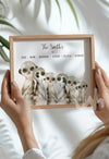 meerkat family gift idea