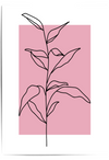 Dusty Pink Botanical Line Art Print