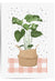 Monstera House Plant Print